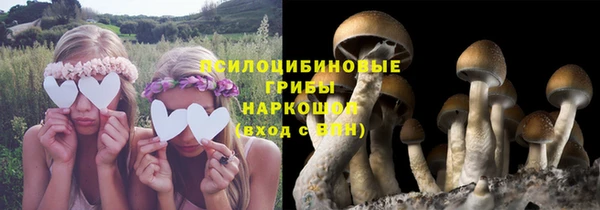 кокс Алзамай