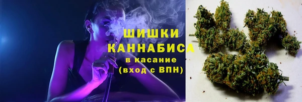 прущие крисы Арсеньев