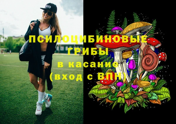 прущие крисы Арсеньев