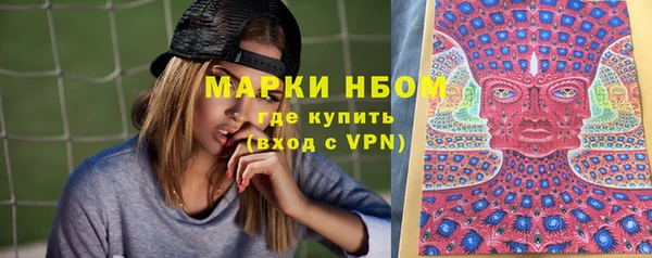 spice Аркадак