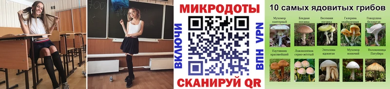 hydra как войти  Волжский  Псилоцибиновые грибы мицелий 